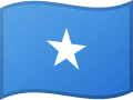 Telegram飞机号/电报 | 索马里 Somalia (+252) 老账号 140+天老号 | TDATA / SESSION / JSON 格式