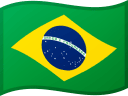 BRAZIL flag