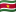 country flag Suriname