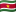 Flag of Suriname