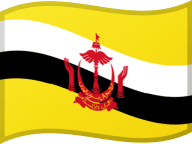 Brunei flag