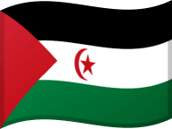 Western Sahara flag