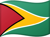 Guyana flag