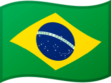 BRA flag