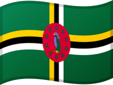 DMA flag