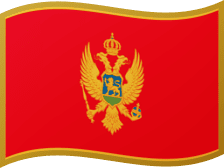 MNE flag