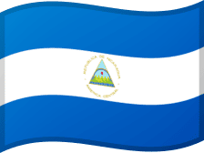 NIC flag