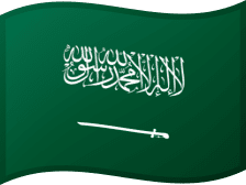 SAU flag