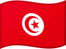 TUN flag