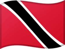 TTO flag