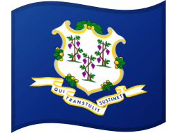 Connecticut flag
