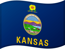 Kansas flag
