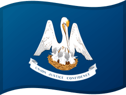 Louisiana flag