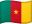 Bandera de Cameroon
