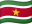 Bandeira do país 