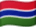 Gambia, The flag