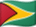 Guyana flag