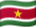 Suriname flag