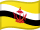 Flag of 
Brunei Darussalam