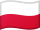 Most Visited Websites in Poland