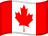 CAD Flag