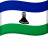 LS flag