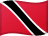 TT flag