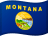 Montana flag