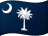 South Carolina flag