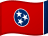 Tennessee flag