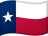 Texas flag