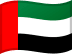 United Arab Emirates flag