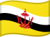 Brunei flag