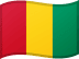 Guinea flag