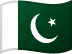 Pakistan flag