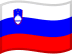 Slovenia flag