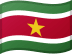 Suriname flag