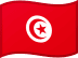 Tunisia flag