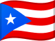 Puerto Rico Flag