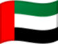 Dirham Emiratos Flag