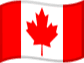 Dólar Canadiense Flag