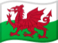 Wales U21