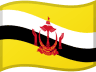 Brunei Darussalam flag