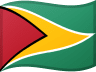 Guyana flag