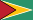 National Flag of country Guyana