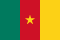 National Flag of country Cameroon