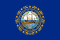 New Hampshire state flag