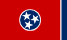 Tennessee state flag