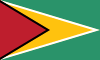 Flag of Guyana