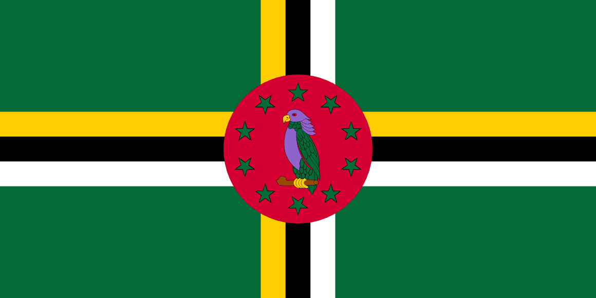 DM flag